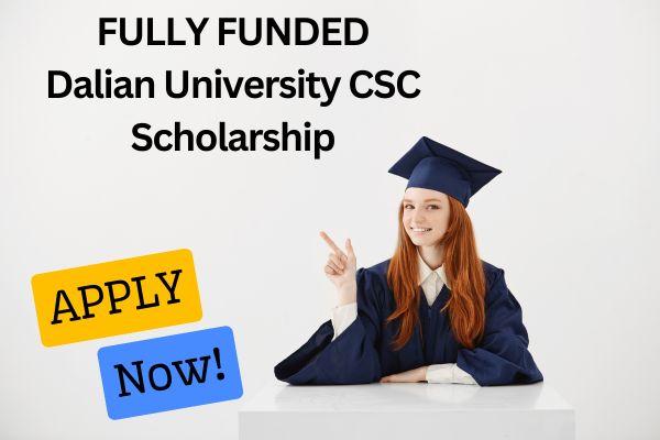 Dalian University CSC Scholarship
