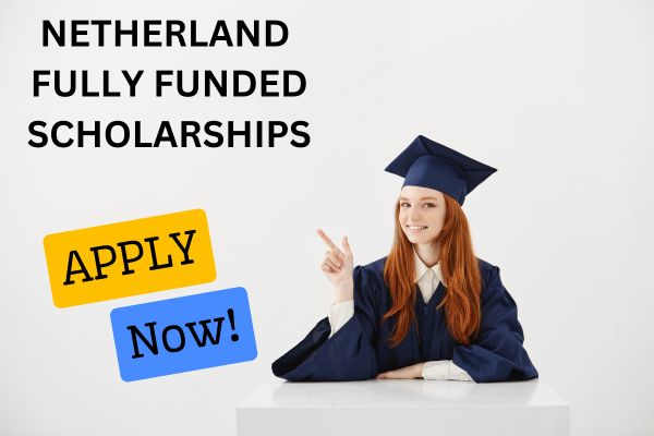 netherland scholarship program
