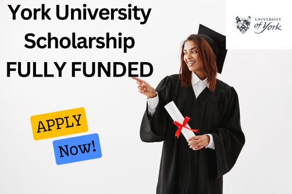 York University scholarship
