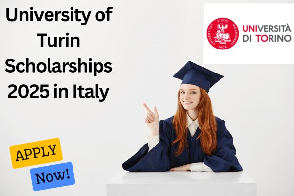 University of Turin Scholarship scholarship
