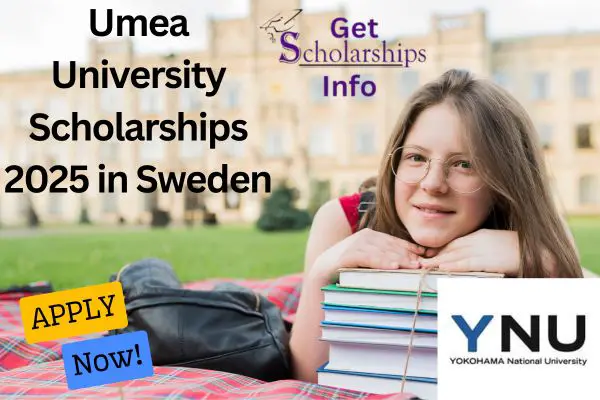 Umea University Scholarship
