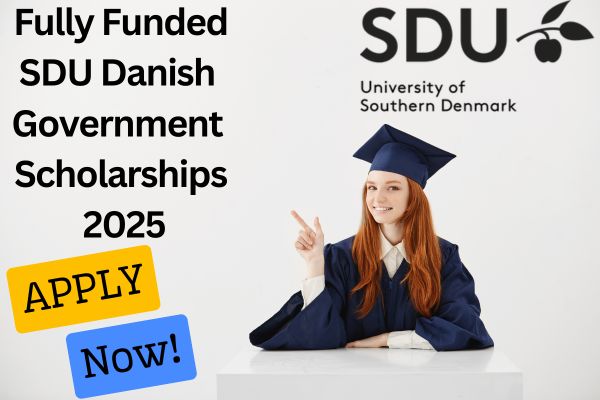 SDU Danish Government Scholarship
