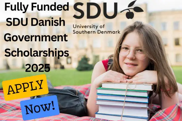 SDU Danish Government Scholarship

